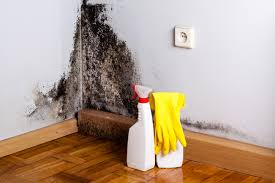 Asbestos and Lead Testing During Mold Inspection in Lincoln Beach, OR